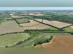Tract 2: 54.3± Acres