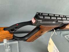 Browning Buck Mark 22LR Semi-Auto Rifle #213MY01083