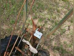 Walk-Behind Self-Propelled Plow