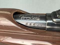 Remington Nylon 66 22LR Semi-Auto Rifle w/Scope #451566