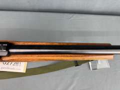 Ruger 10/22 Carbine 17Mach2 Semi-Auto Rifle #243-93202