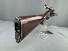 Remington Nylon 66 22LR Semi-Auto Rifle w/Scope #451566