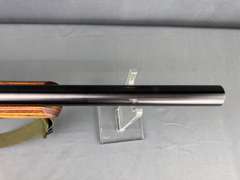 Ruger 10/22 Carbine 17Mach2 Semi-Auto Rifle #243-93202