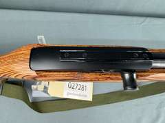 Ruger 10/22 Carbine 17Mach2 Semi-Auto Rifle #243-93202