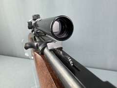 Marlin Glenfield 75C 22LR Semi-Auto Rifle w/Scope #19398181