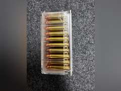 (12) Boxes of 22 WMR Target Ammunition