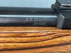Ruger 10/22 Carbine 17Mach2 Semi-Auto Rifle #243-93202