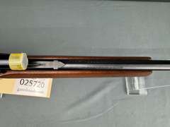 Marlin Glenfield 75C 22LR Semi-Auto Rifle w/Scope #19398181