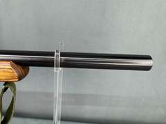Ruger 10/22 Carbine 17Mach2 Semi-Auto Rifle #243-93202