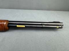 Marlin Glenfield 75C 22LR Semi-Auto Rifle w/Scope #19398181