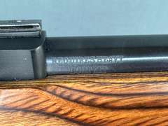 Ruger 10/22 Carbine 17Mach2 Semi-Auto Rifle #243-93202