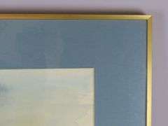 Framed Watercolor of Birds in Flight Signed Wm. Hooper