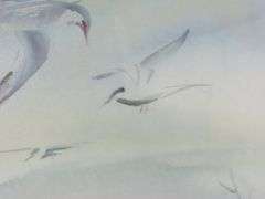 Framed Watercolor of Birds in Flight Signed Wm. Hooper