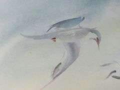 Framed Watercolor of Birds in Flight Signed Wm. Hooper