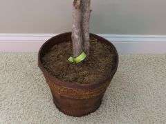 6ft Faux Potted Tree