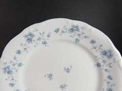 Lot of 8 "JOH153" Johann Haviland 9.75" Dinner Plates