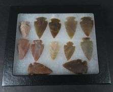Riker Box of 12 Arrow Points