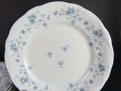 Lot of 8 "JOH153" Johann Haviland 9.75" Dinner Plates