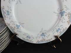 Lot of 10 Imperial China by W. Dalton "Seville" Dinner Plates