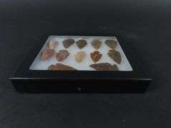 Riker Box of 12 Arrow Points