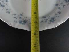 Lot of 8 "JOH153" Johann Haviland 9.75" Dinner Plates