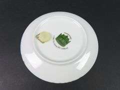 1985 Hand Decorated Royal Schwabap Collector Plate  Made in Holland