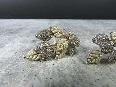 Beautiful Rhinestone Screwback Earrings