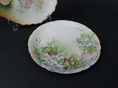 Lot of 2 Antique Floral Plates