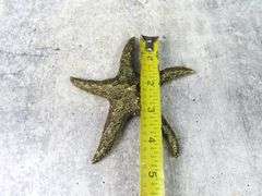 Vintage Brass Starfish Décor