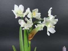 Grouping of Small Faux Potted Flower Arrangements
