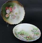 Lot of 2 Antique Floral Plates