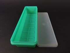 Vintage Tupperware Celery Container