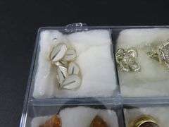12 Pairs of Vintage Clip Earrings in Plastic Storage Cases