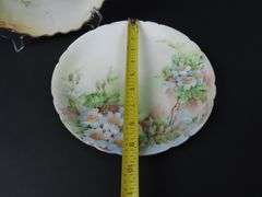 Lot of 2 Antique Floral Plates