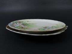 Lot of 2 Antique Floral Plates