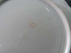 Lot of 2 Antique Floral Plates