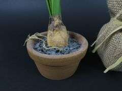 Grouping of Small Faux Potted Flower Arrangements