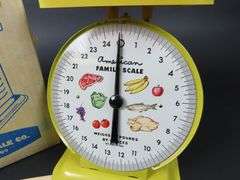 Vintage American Family Scale Co. Household Scale in Original Box