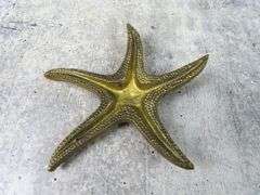 Vintage Brass Starfish Décor