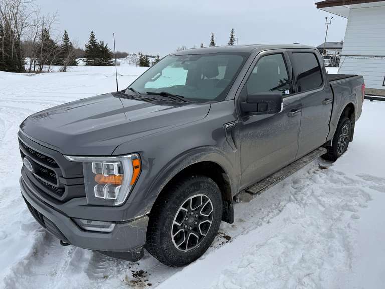 2023 Ford  F-150  XLT  4WD  Super Crew  Pickup Truck  1FTFW1E84PKE41920