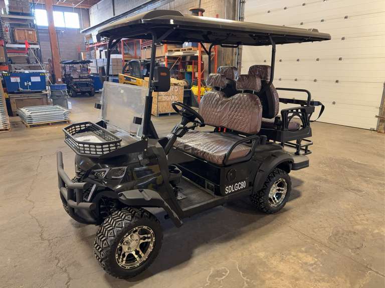 New SDLANCH SDLGC80 4-Seat Electric Golf Cart - 4000W AC Electric Motor, 60V100AH Battery