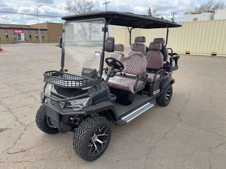 New SDLANCH SDLGC100 6-Seat Electric Golf Cart - 4000W AC Electric Motor, 60V100AH Battery