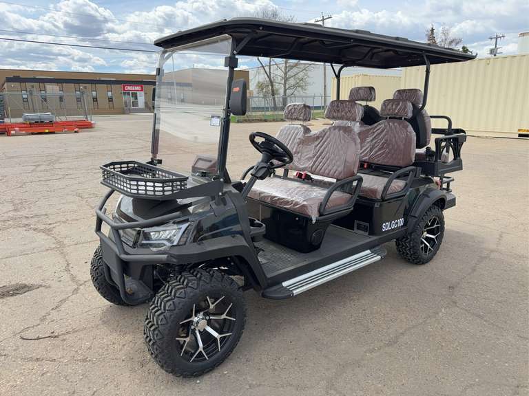 New SDLANCH SDLGC100 6-Seat Electric Golf Cart - 4000W AC Electric Motor, 60V100AH Battery