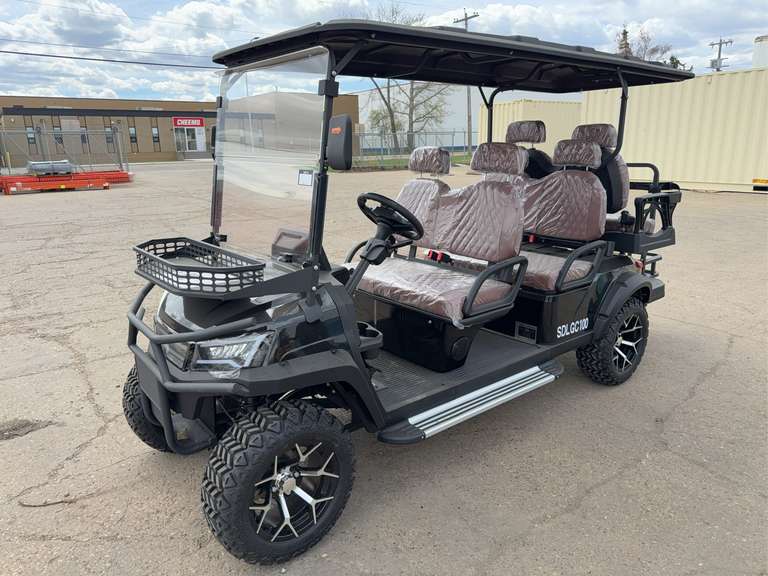 New SDLANCH SDLGC100 6-Seat Electric Golf Cart - 4000W AC Electric Motor, 60V100AH Battery