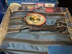 Vehicle Chrome Trim Accessories and Auto Safety Kit