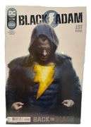 DC Comics Black Adam – Complete Limited Series #1–12 – Modern Age Epic