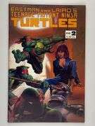 Teenage Mutant Ninja Turtles #2 (1984) - 3rd Print Variant