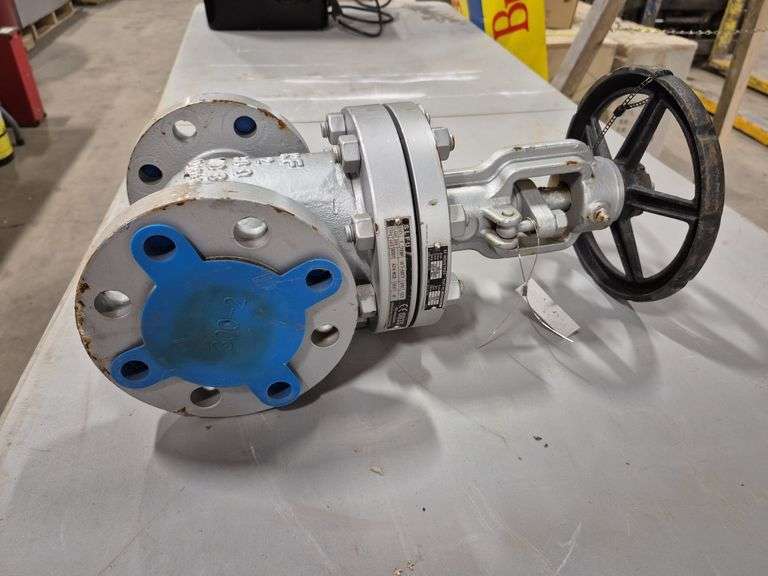 Gate Valve (Isolation Valve)
