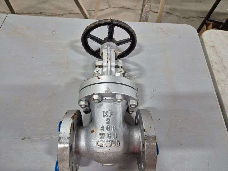 Gate Valve (Isolation Valve)