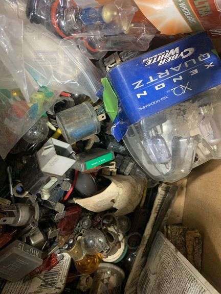 Miscellaneous and Assorted Bulbs